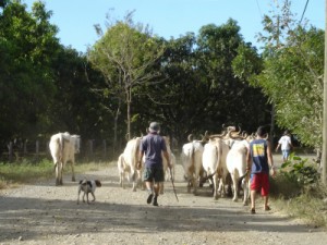 Nicoya Peninsula, Costa Rica